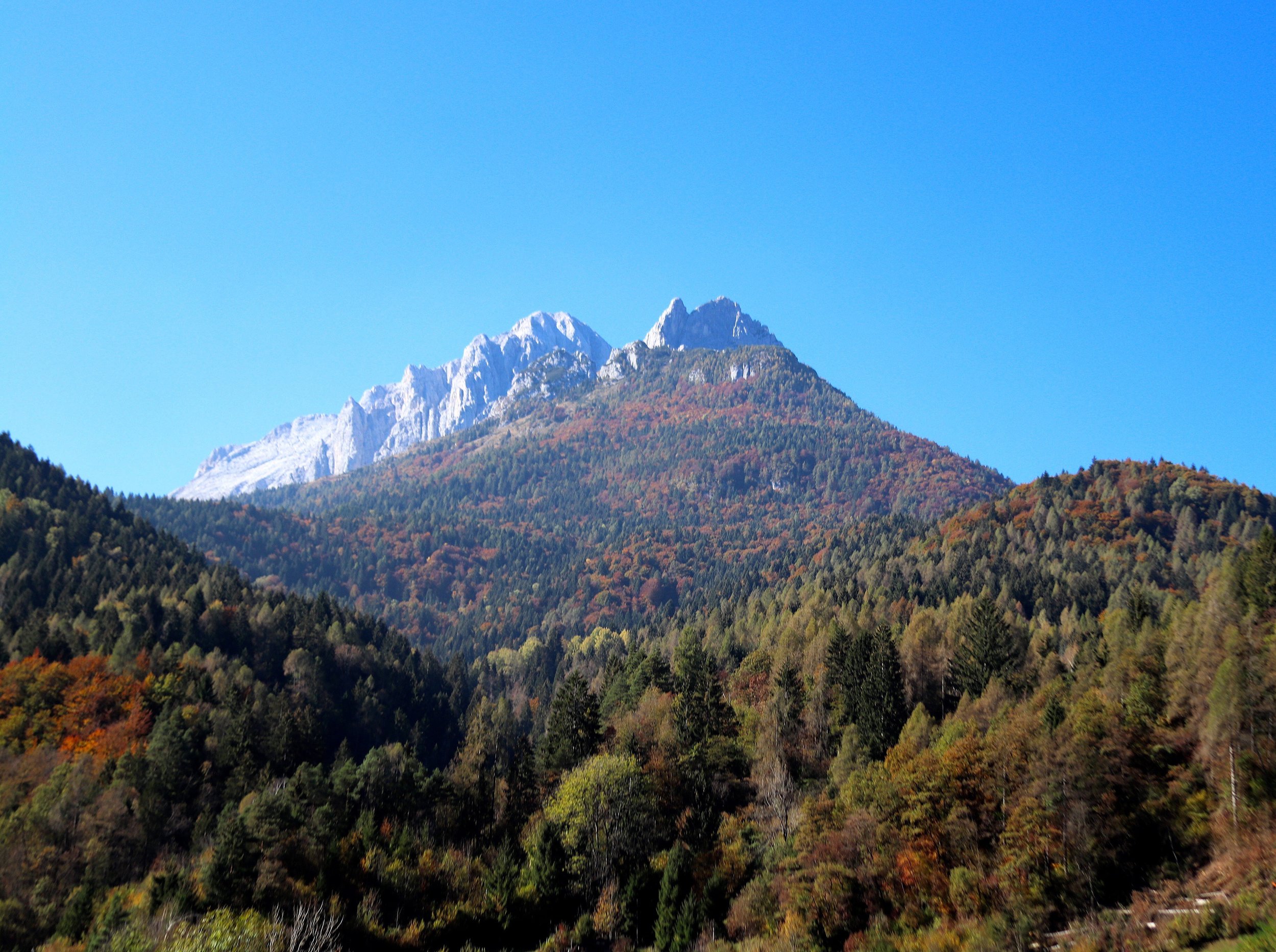 ACS_0912.jpg