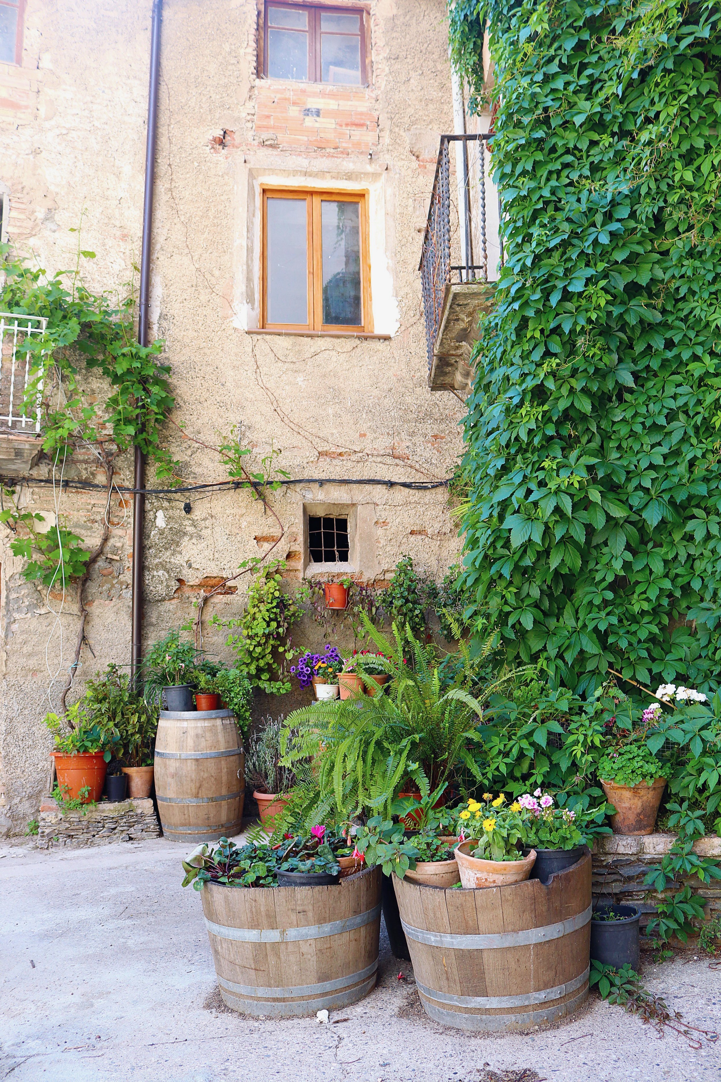 Five Ways to Chose a Wine Destination