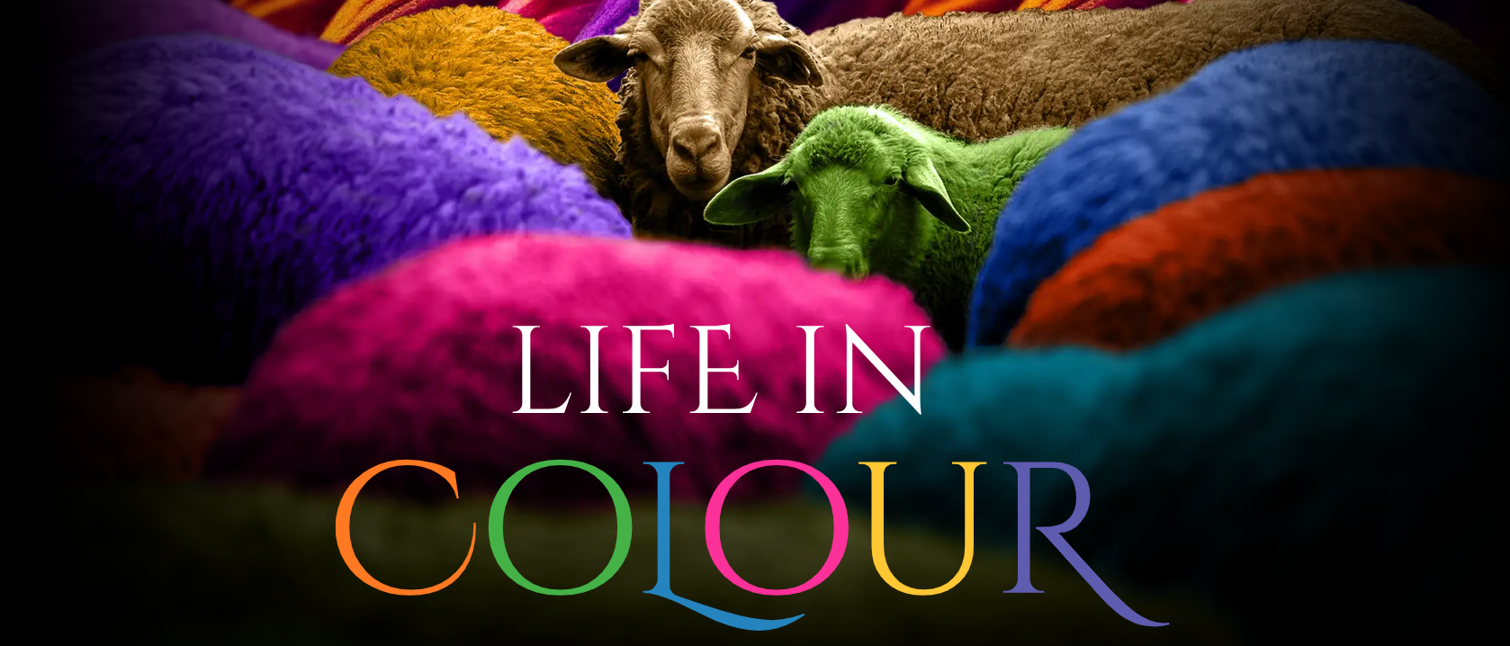 Life in Colour.png