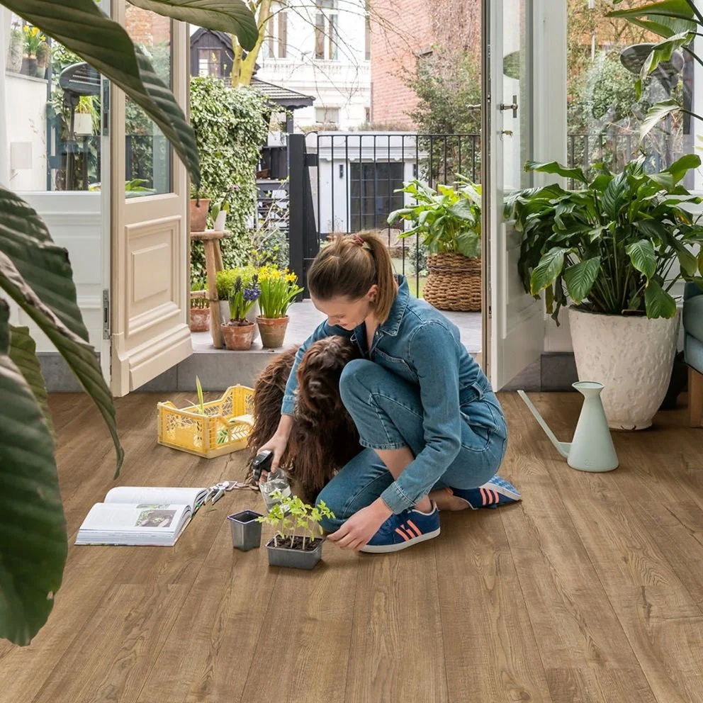 Quick-Step Impressive Scraped Oak Grey Brown IM1850 Laminate Flooring ...