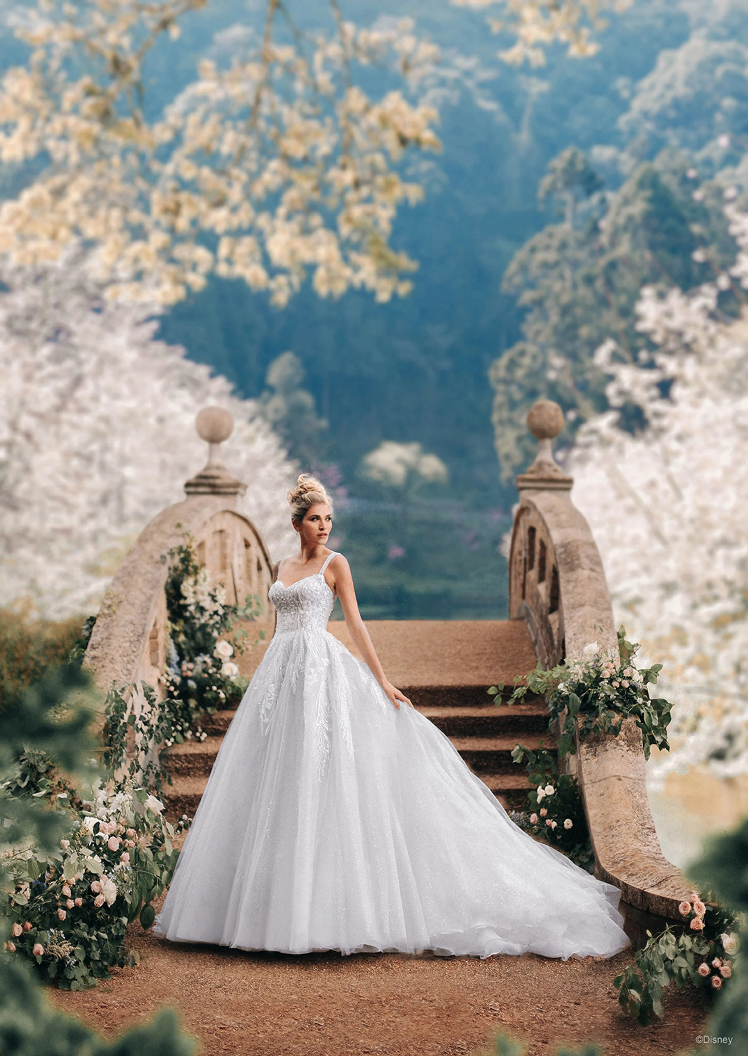 D373-Cinderella-01__64125.jpg