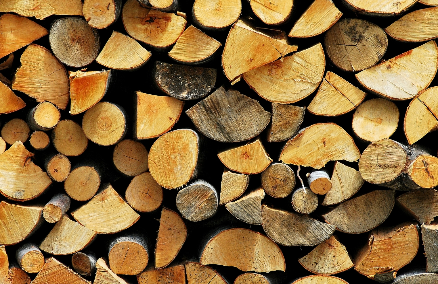 forestry.jpg