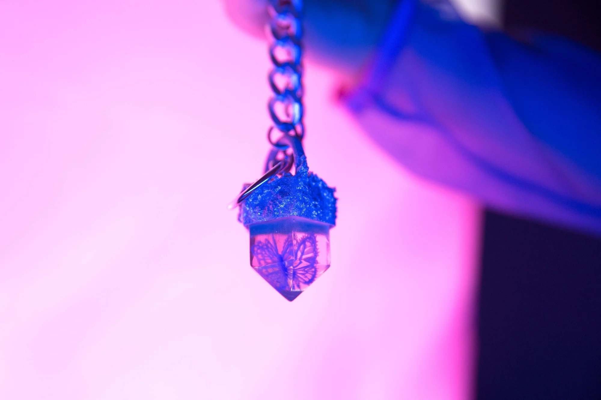 blue butterfly 3.jpeg