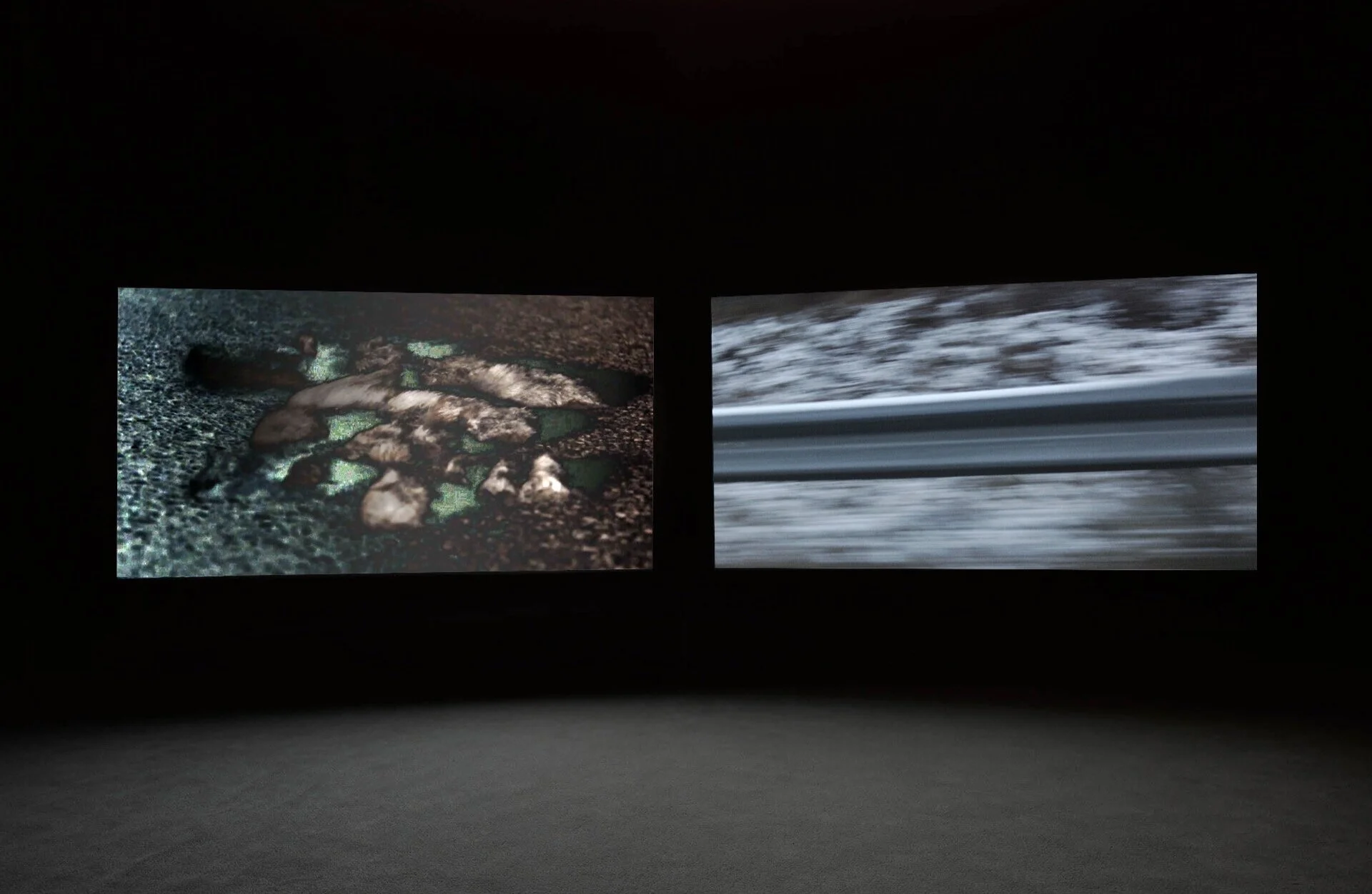 11RJosey_ProsopopoeiaVideoInstallation.jpg