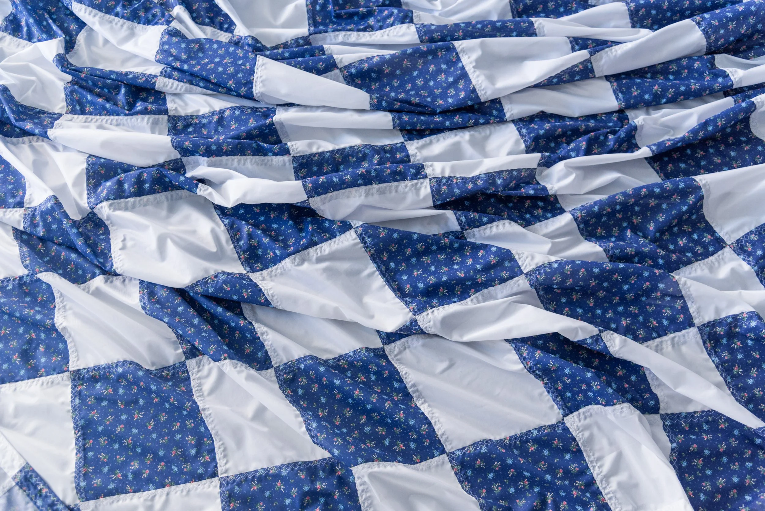  November, November  at the Khyber Centre for the Arts, 2017. Photo: Katherine Nakaska.