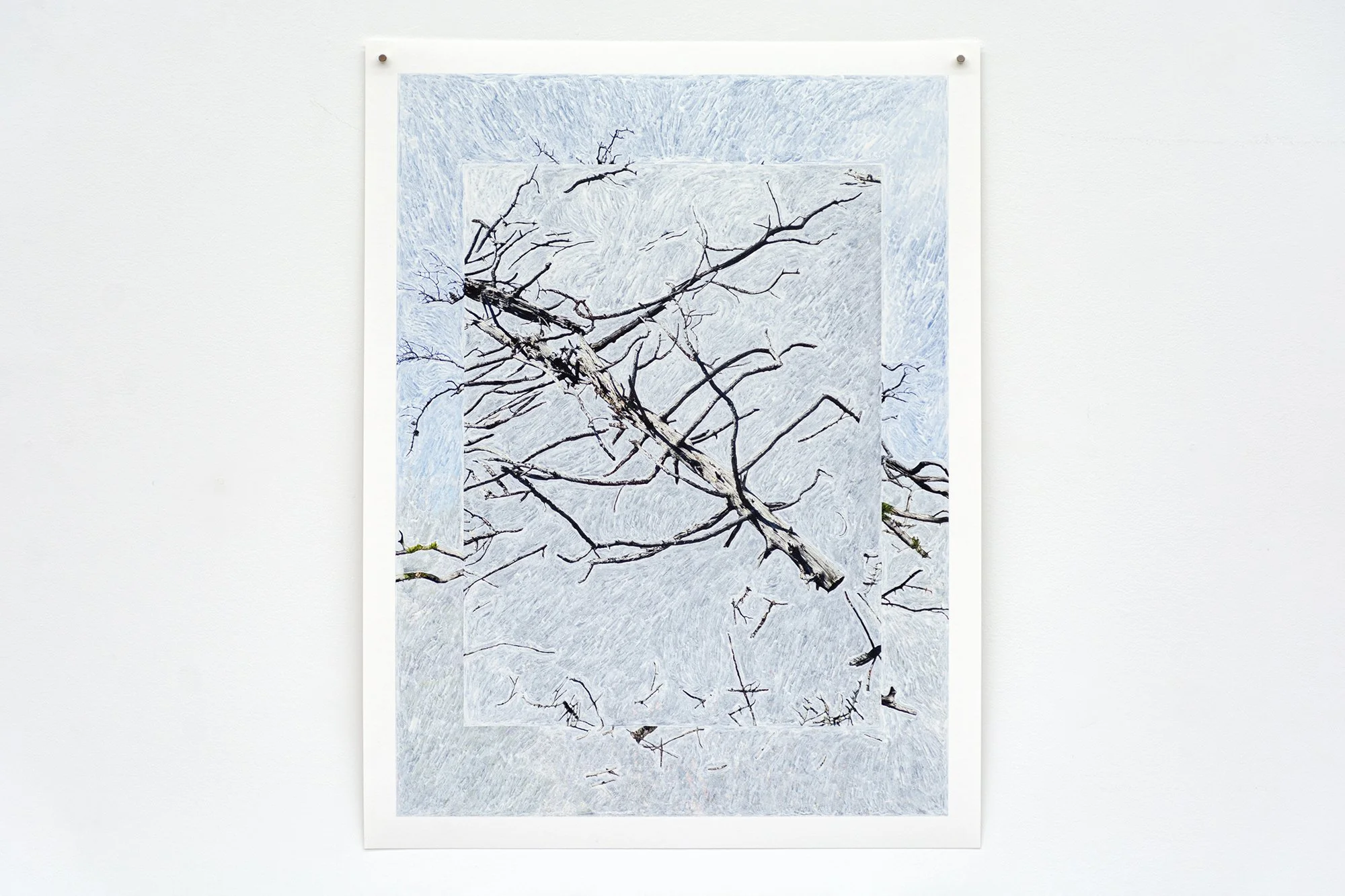 ForbiddenColours_02_4_white.jpg