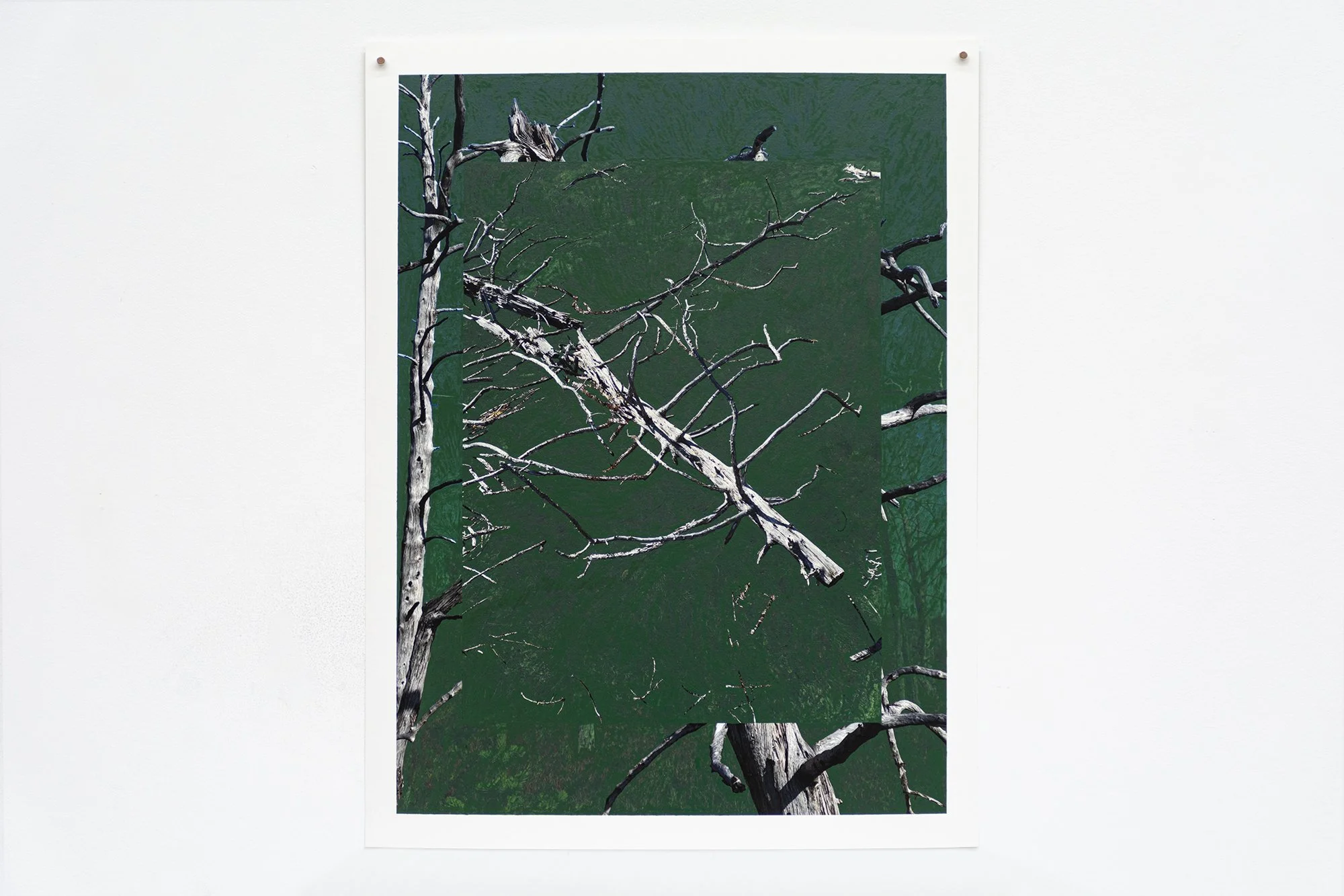 ForbiddenColours_02_1_green.jpg