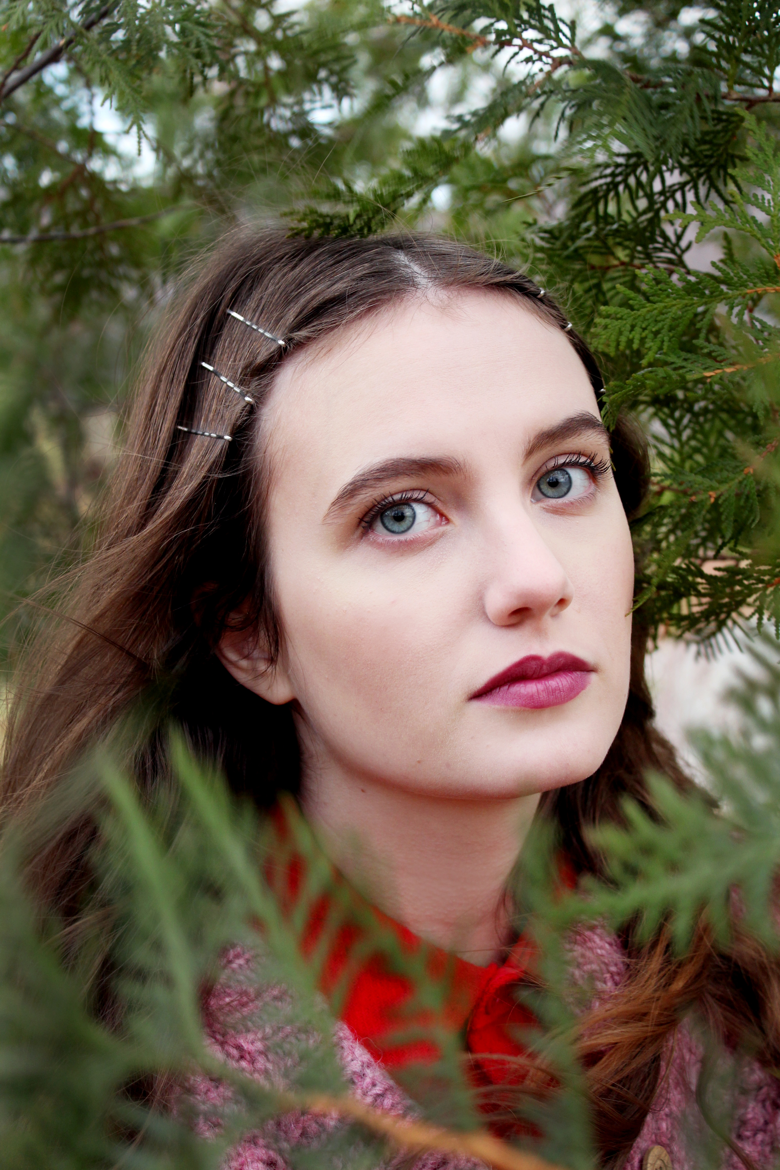 clara1 copy.jpg