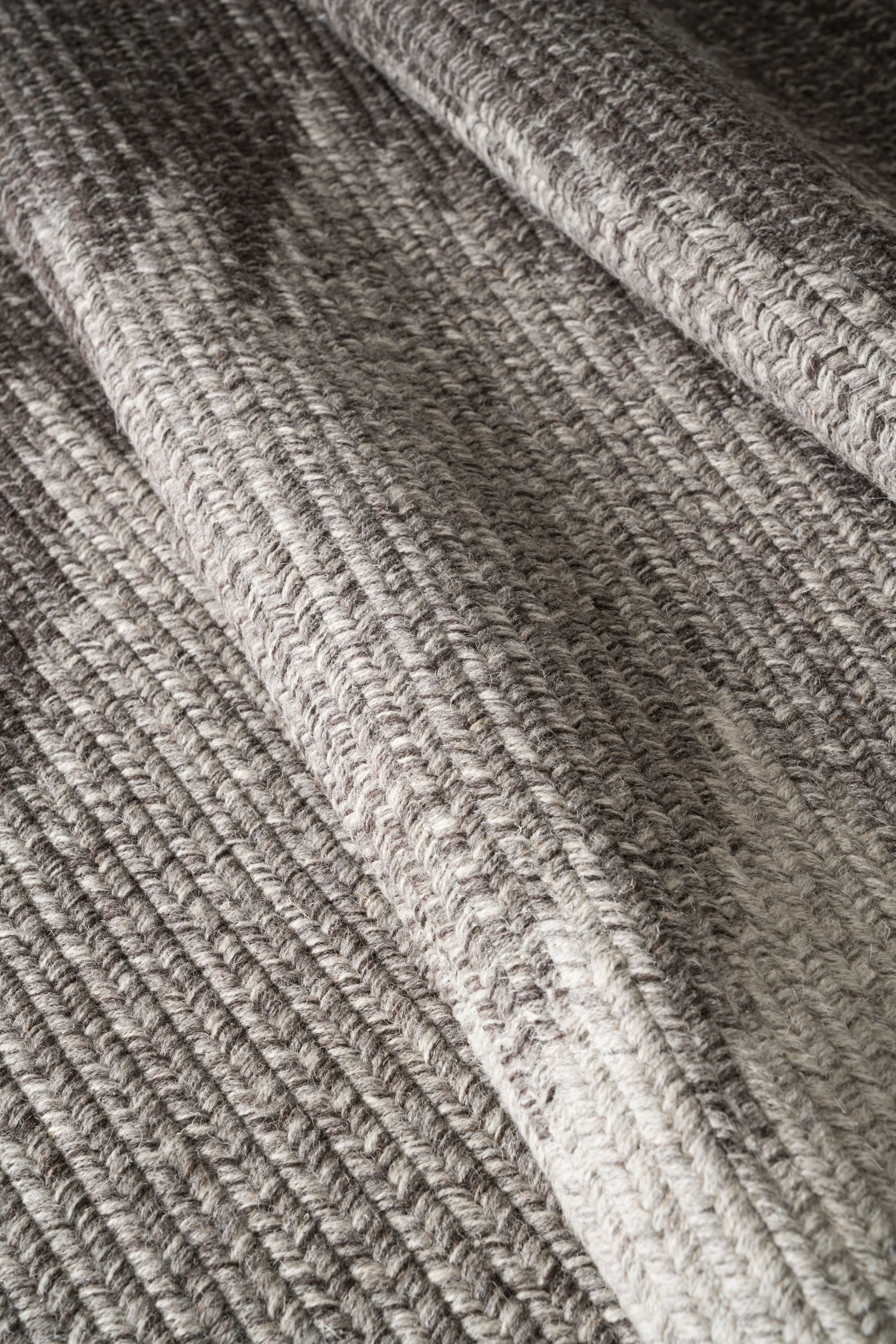 TIDE_BROWN_5.jpg