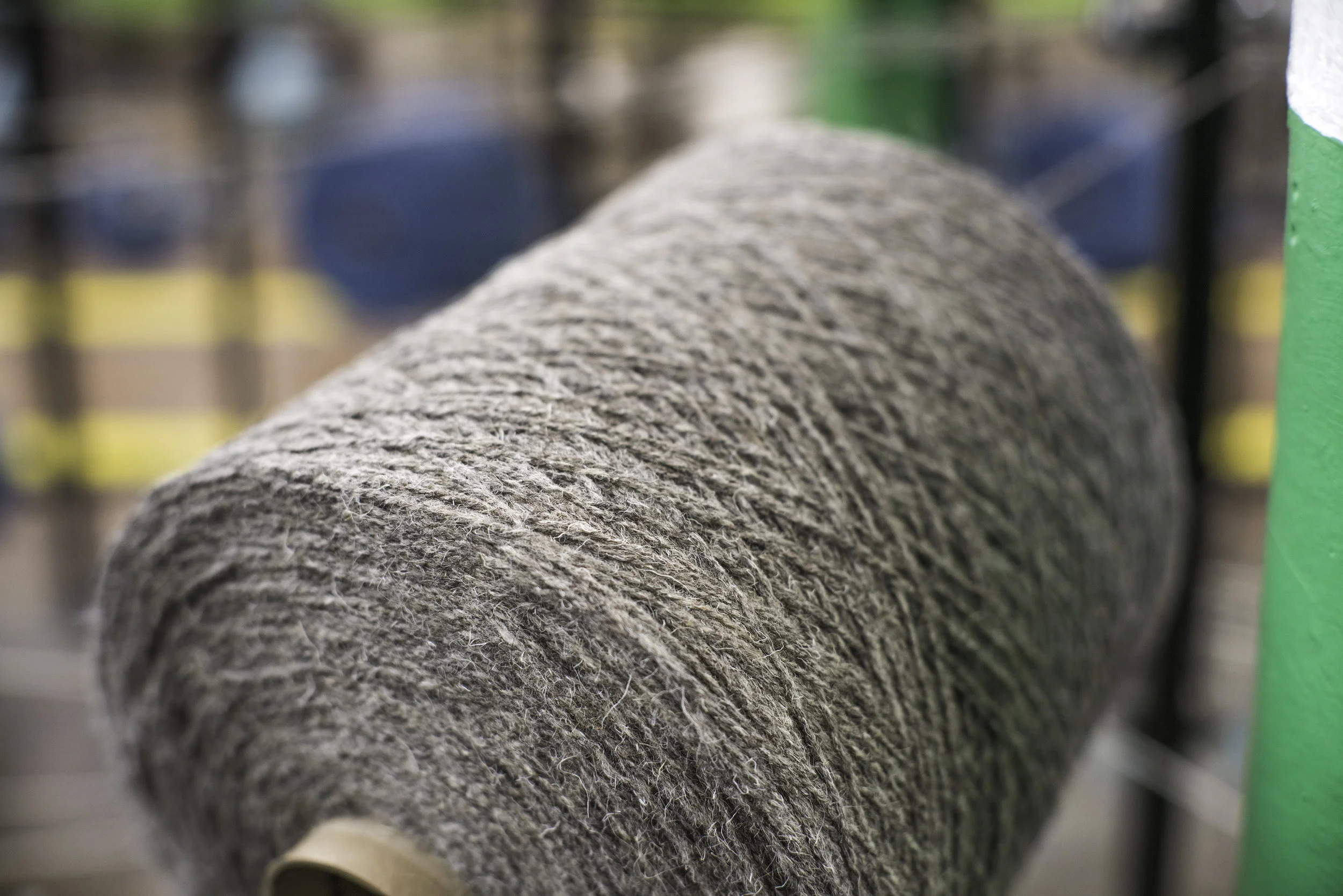 DSC09466.jpg