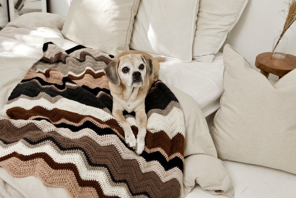 Elizabeth Blanket Pattern by Two of Wands