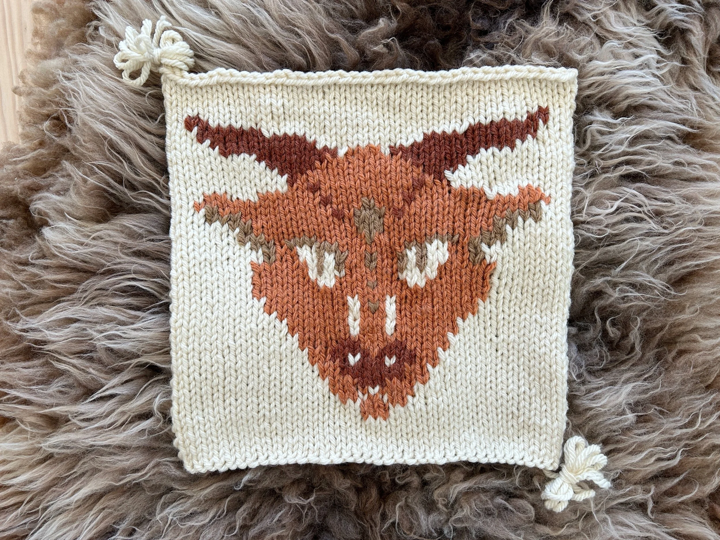 Zodiac Icons Blanket: Capricorn