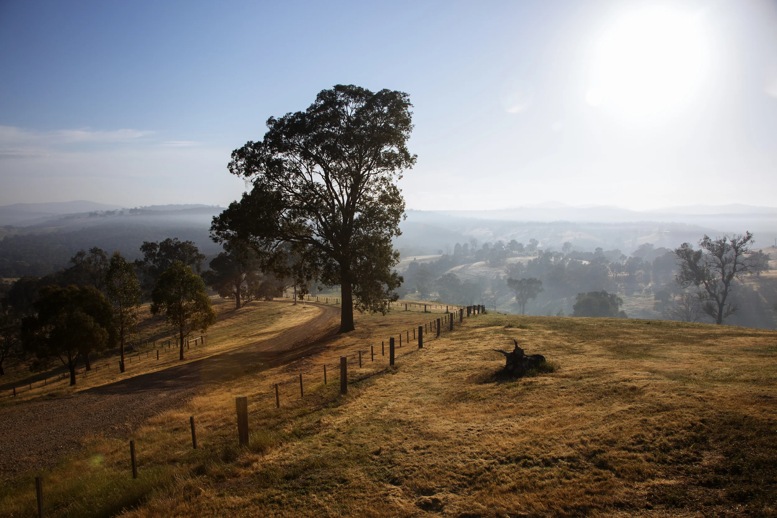 Yarra Valley