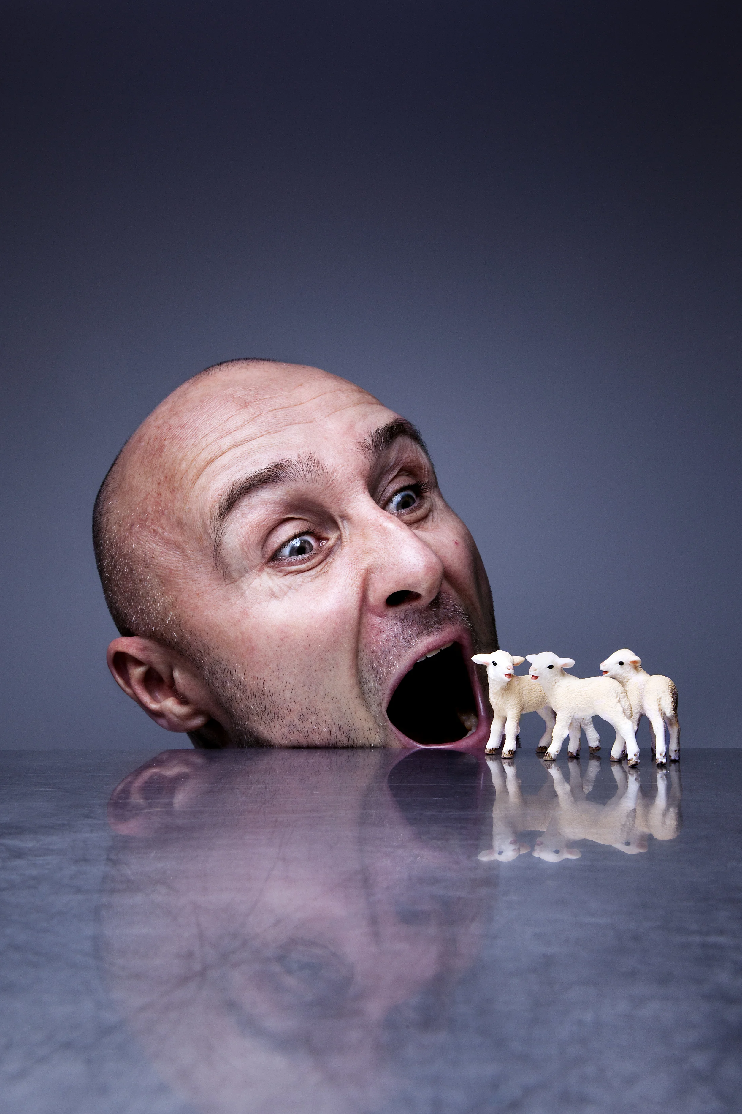 Lambsmeat