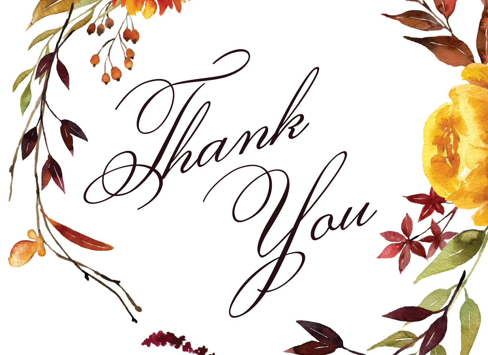 CP_thank_you.jpg