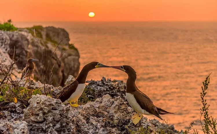 Photo by Sean Smith