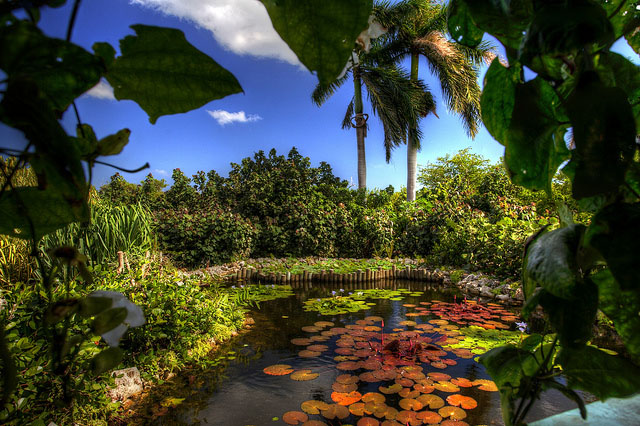 Botanic+Park+Cayman.jpg