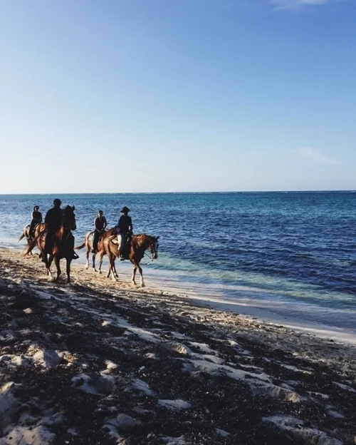 West_Bay.jpg