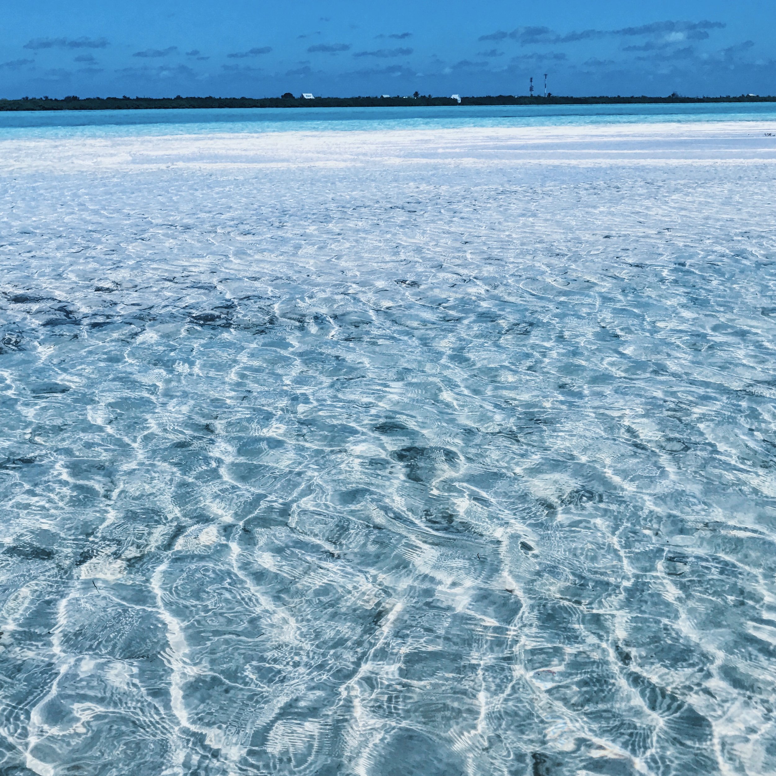 Best Beaches in the Cayman Islands