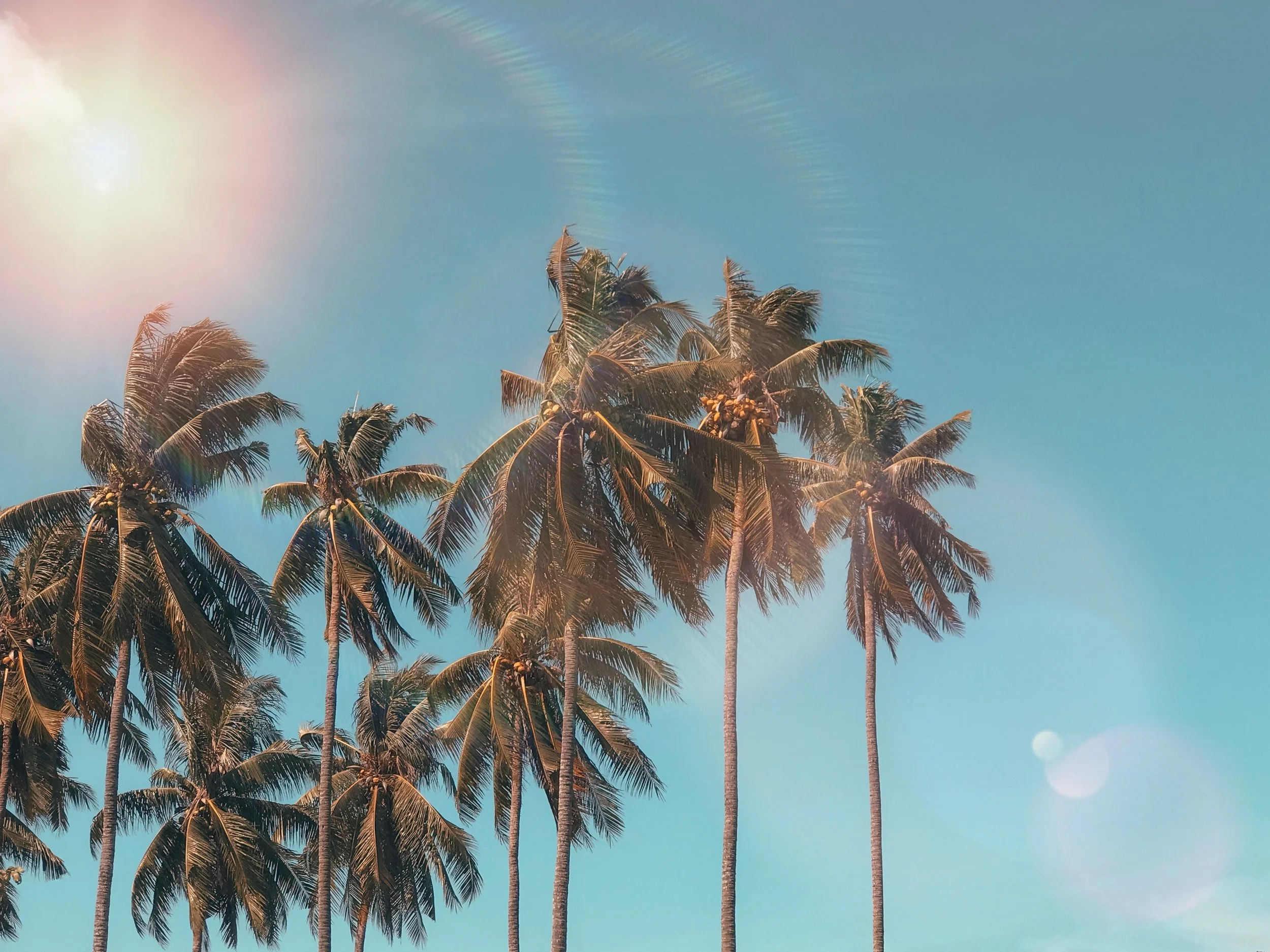 5 Tips on How to Get Settled in the Cayman Islands