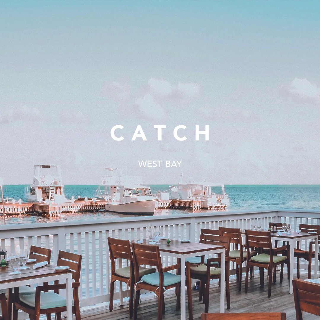 CATCH_TAKE A LOOK INSIDE THUMBNAIL.jpg