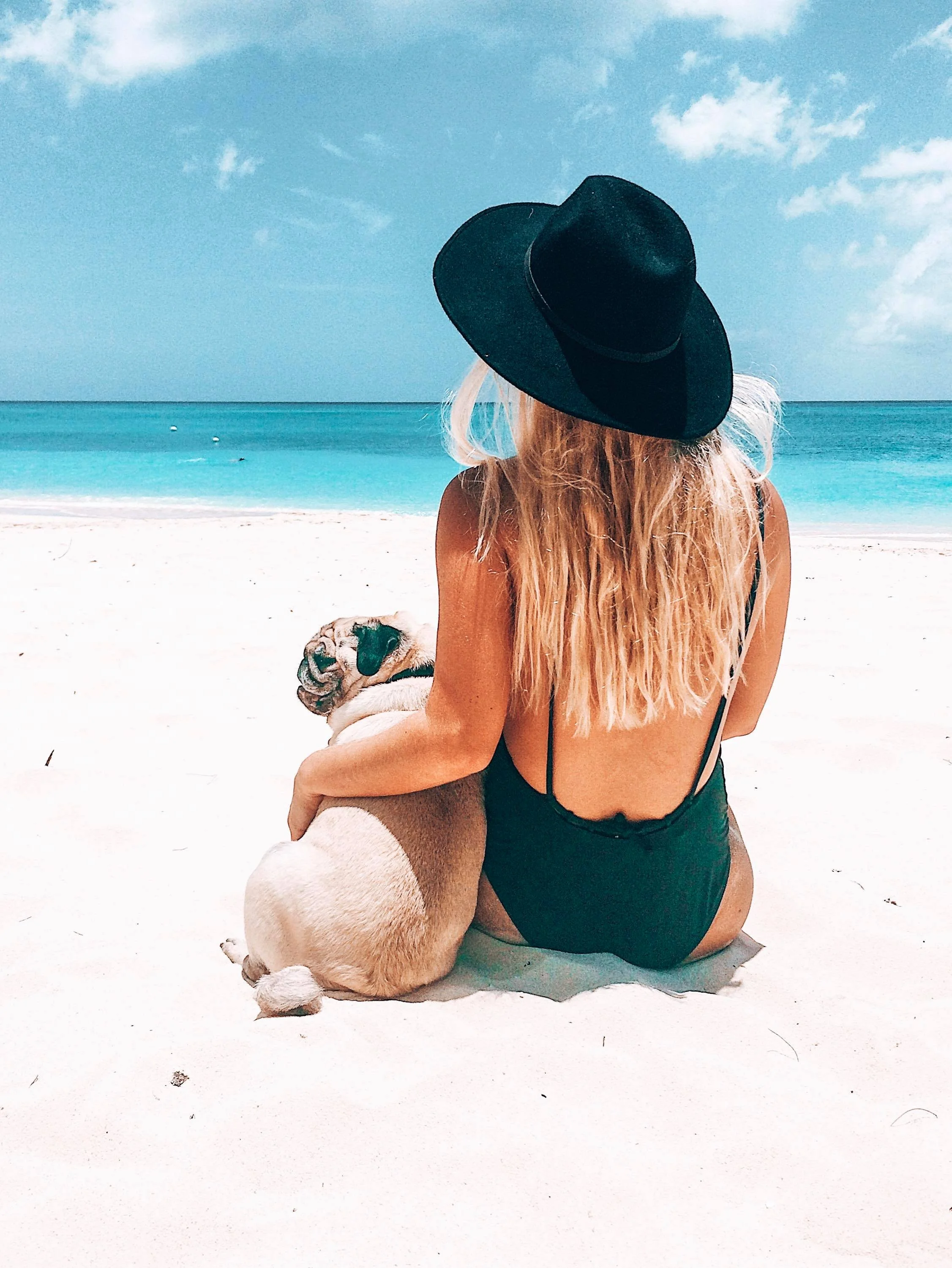 5 Reasons Why You Need A Cayman Mutt In Your Life