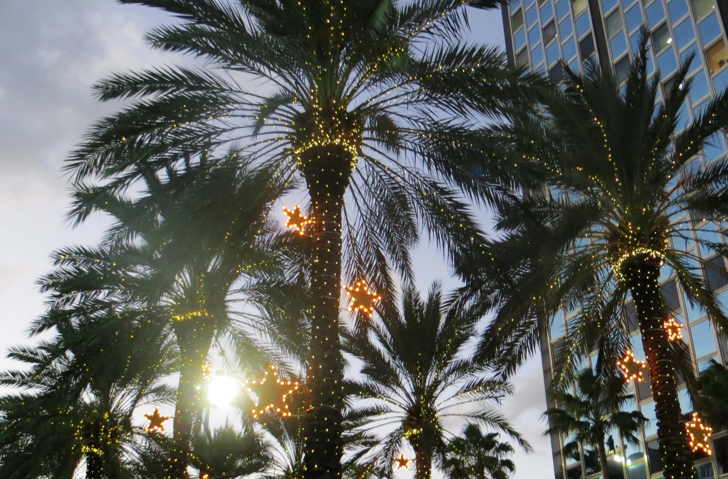 7 Reasons Why Tropical Christmases Rule