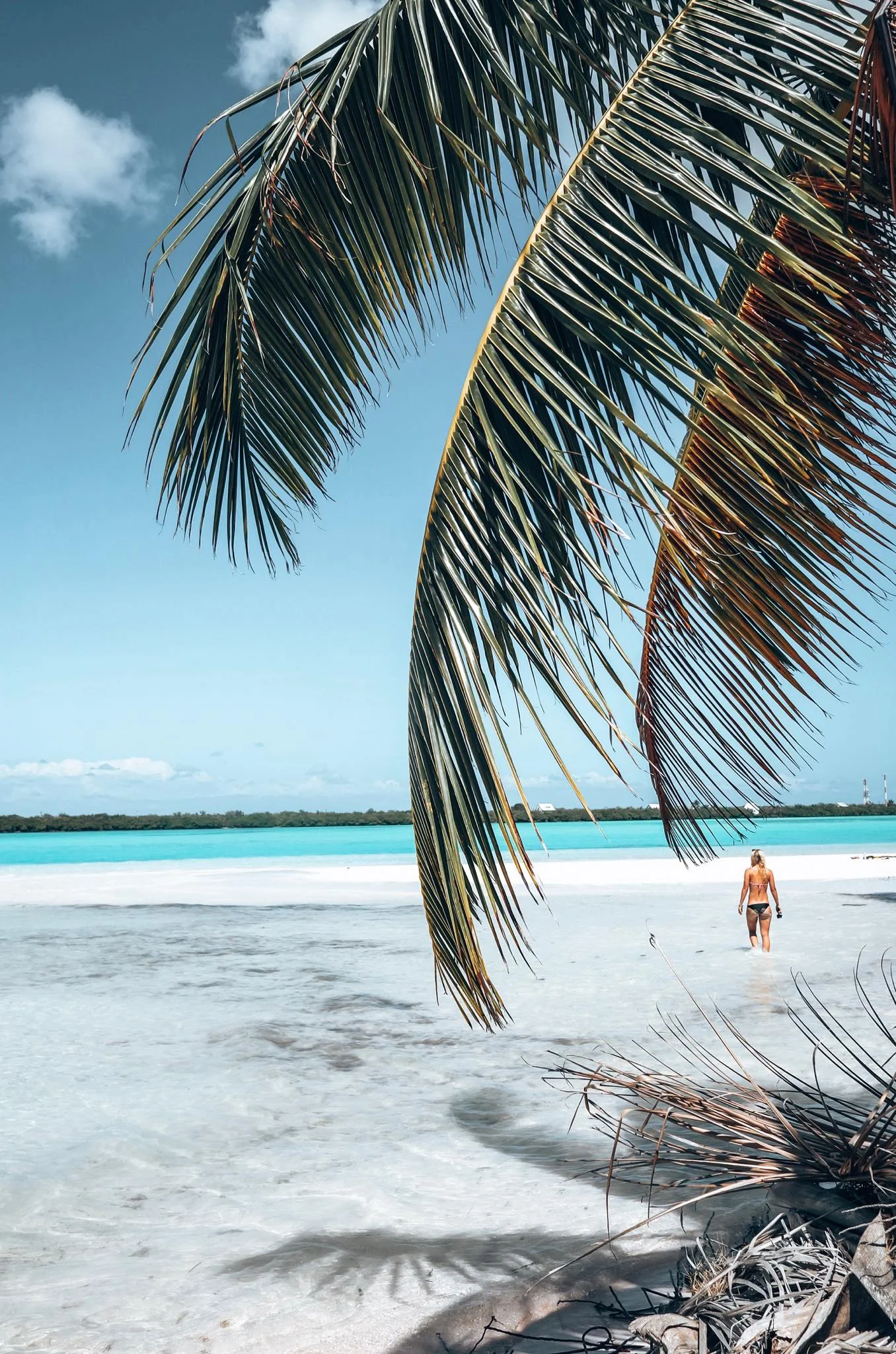 How to spend a weekend in Little Cayman