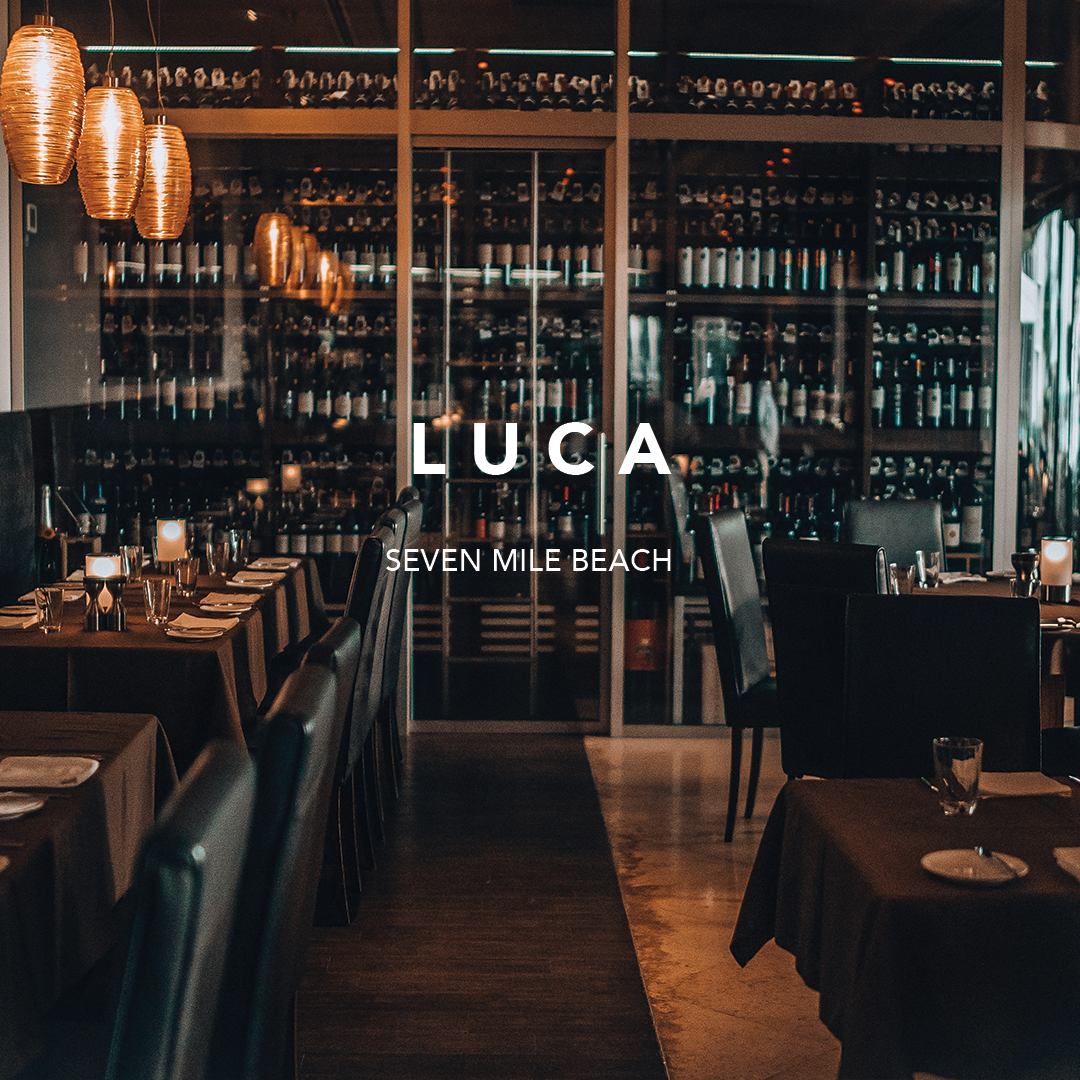 LUCA THUMBNAIL.png