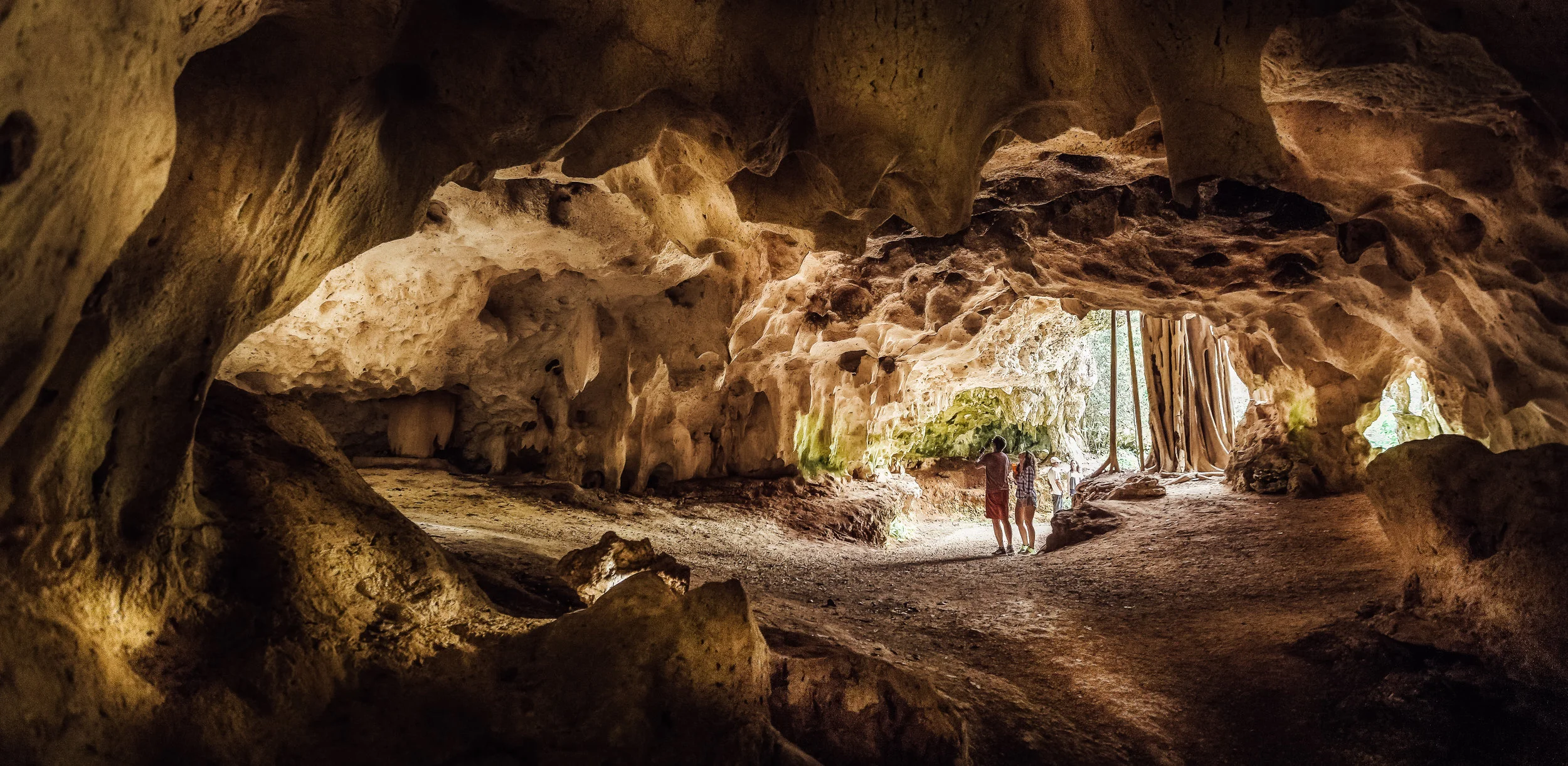 _MG_3938-Edit-2.jpg