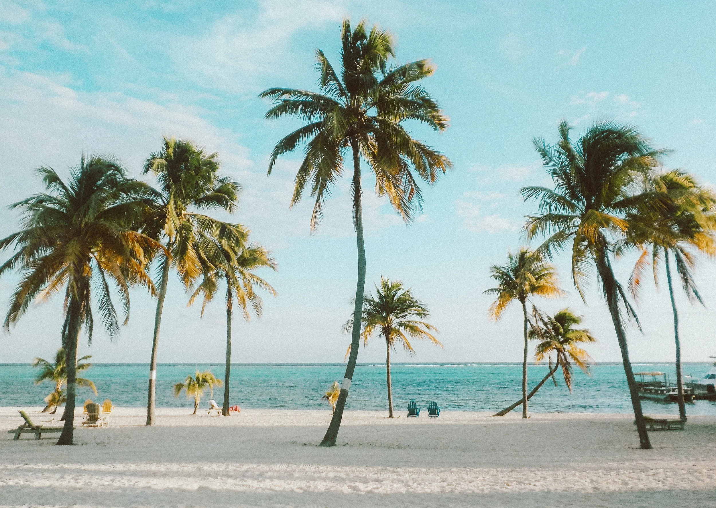 Insider Guides Katie Adams This Is Cayman