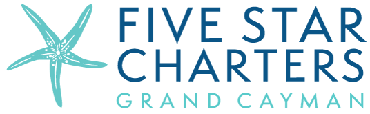 logo-2x.png