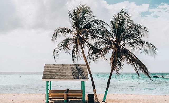 Would you like to know a little more about the best beaches in Cayman? 🌴🐚🐠 Check out the link in bio. &gt;&gt; #thisiscayman #caymanislands #caribbean