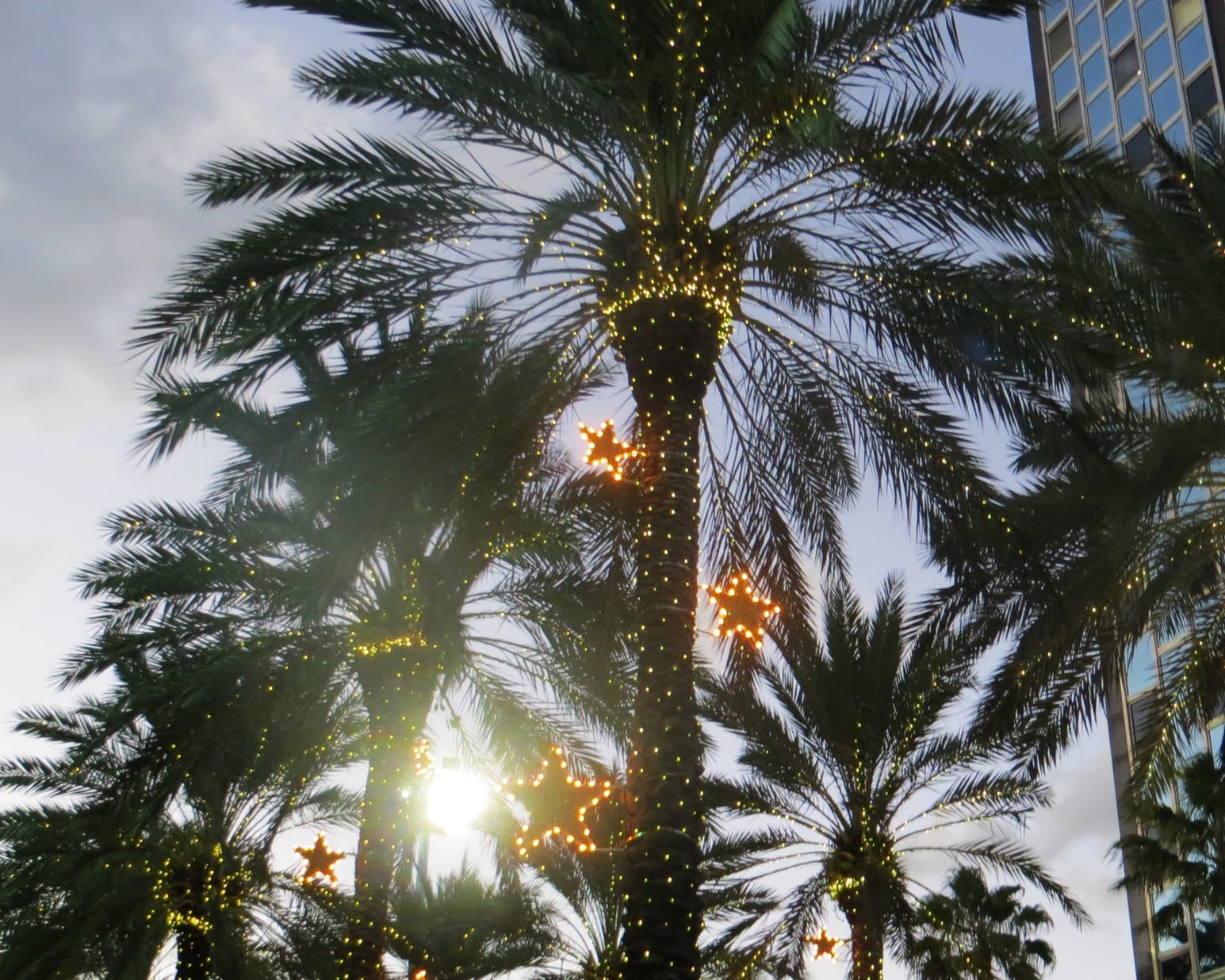 Best Christmas Events in Cayman