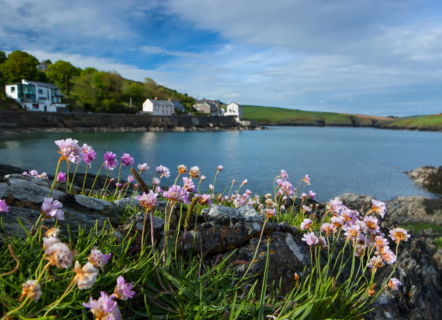 Sandy Cove Cork, Ireland 2015