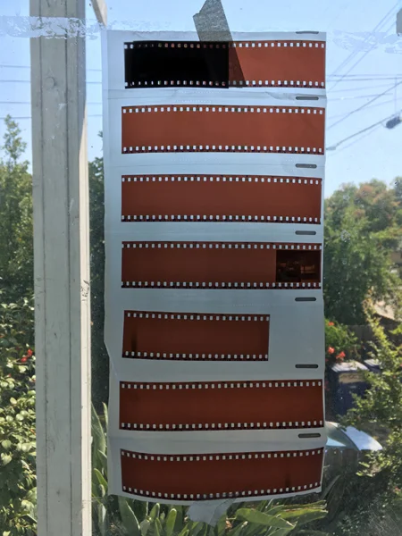 This roll should be filled with portraits of all the Sacramento Mural Fest Artists. 