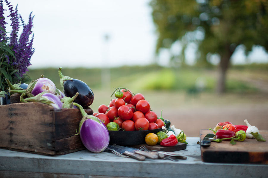 Food_Photography_farm_to_fork_fresh_produce_corn_onion_bean_pepper_lime_citrus_salad_raw_eating_vegan_crops.jpg