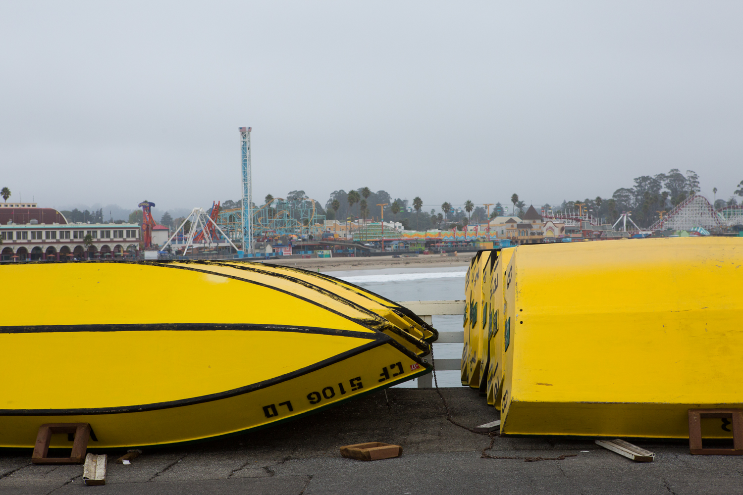 Santa Cruz 2017