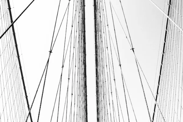 Lines and Textures