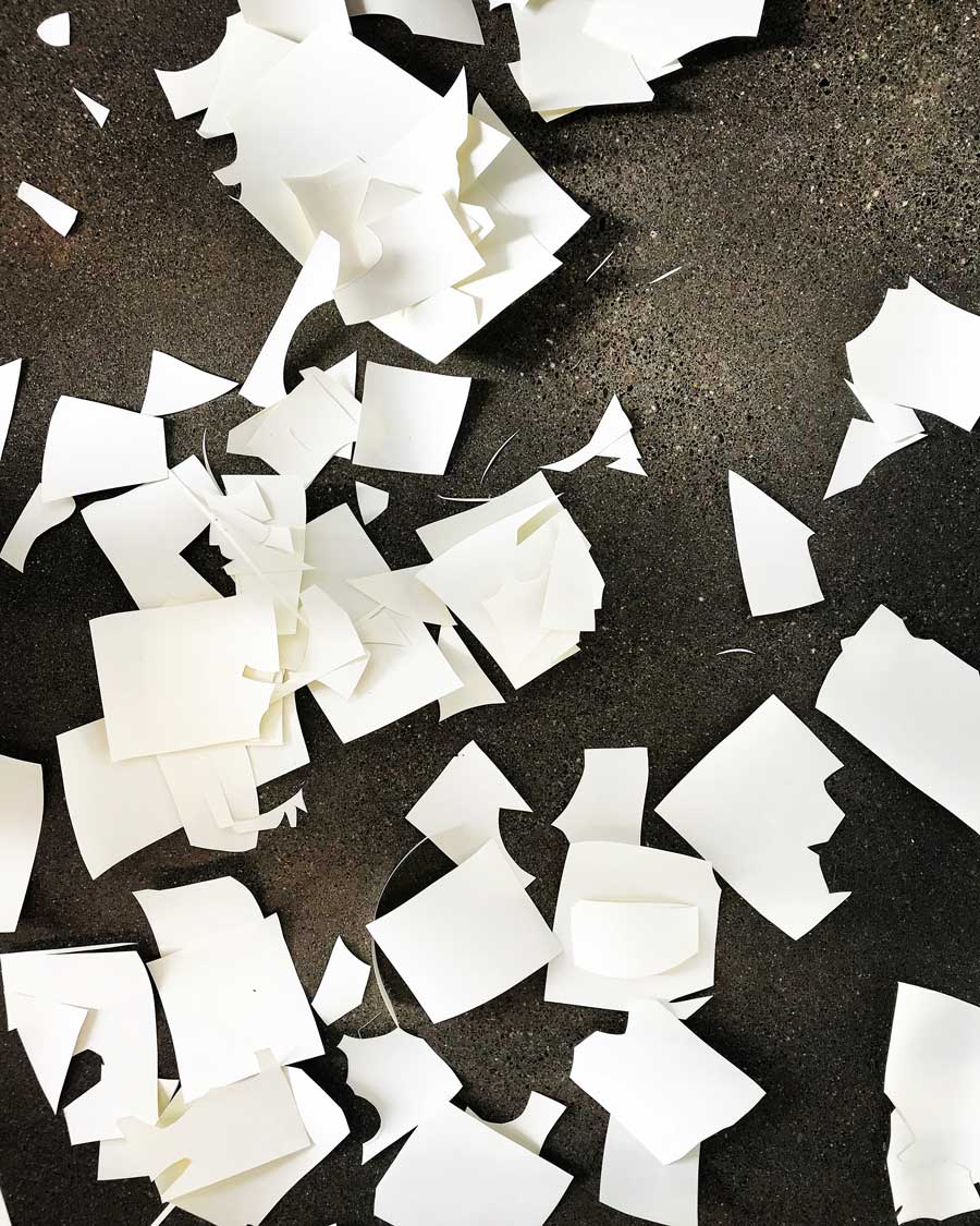 paper-shreds.jpg