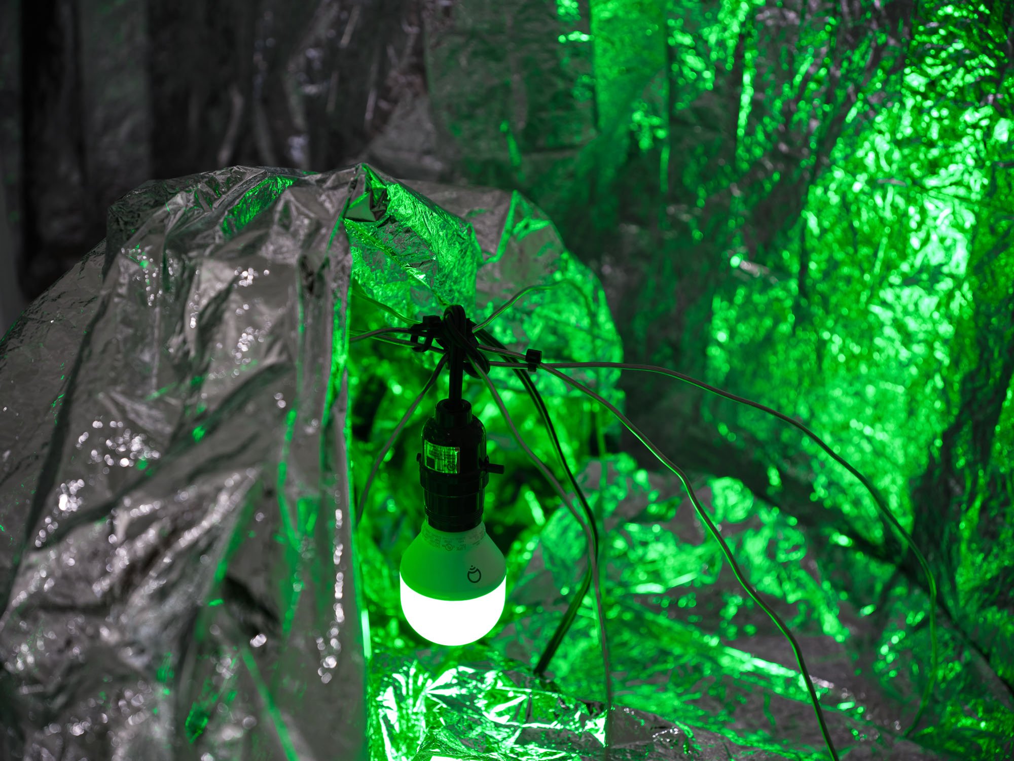 DSCF1730.jpg