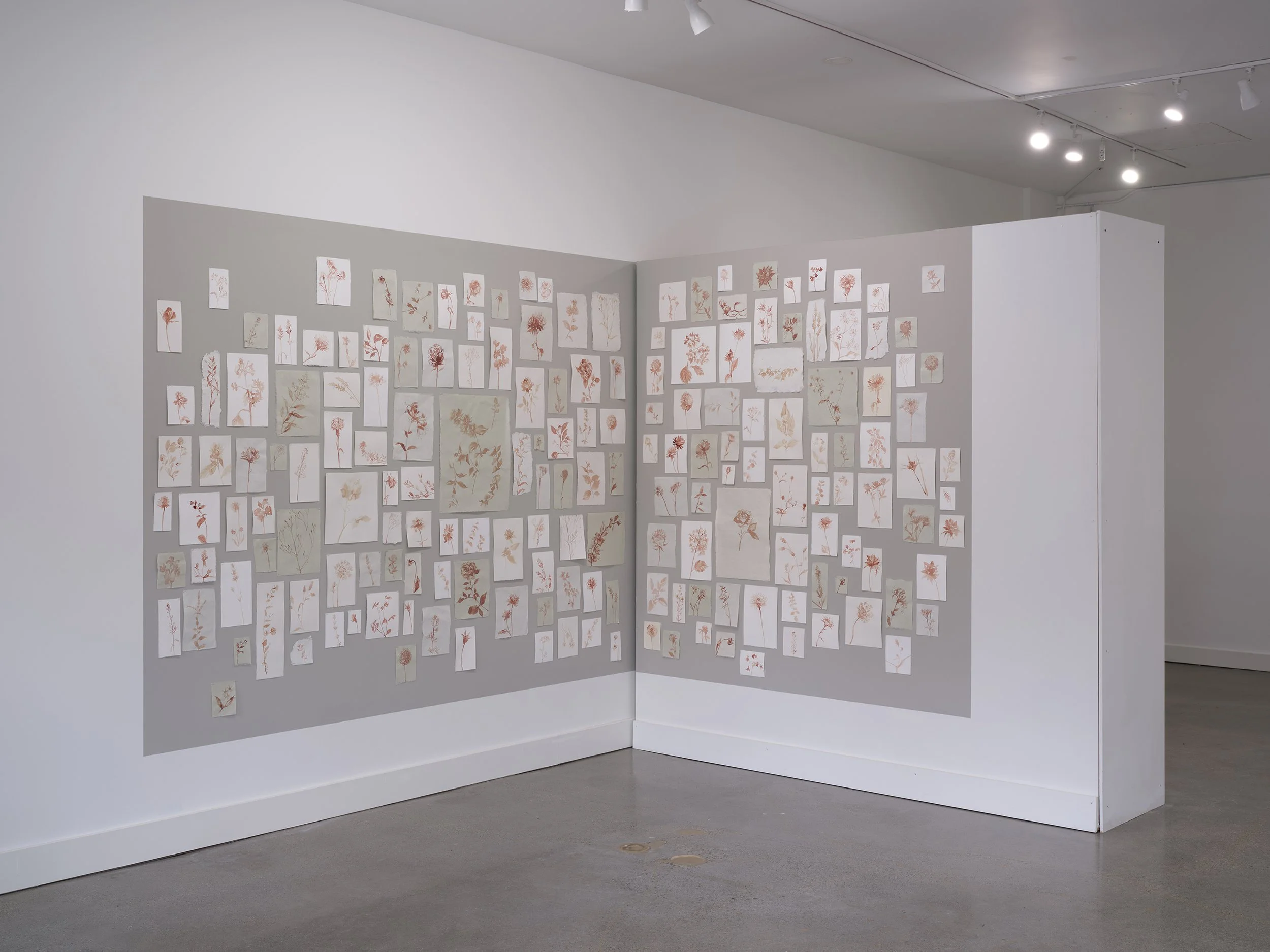 Kim flower wall sm.jpg