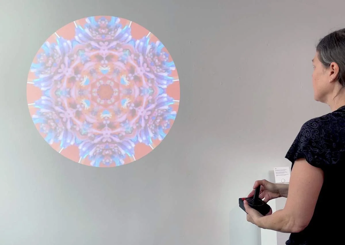 Stefanie Krimmel PIPO-in-action_ihaqiy_gqztcq.jpeg