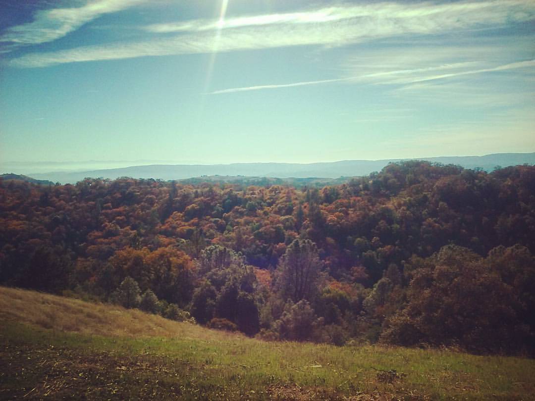 henry-w-coe-state-park.jpg