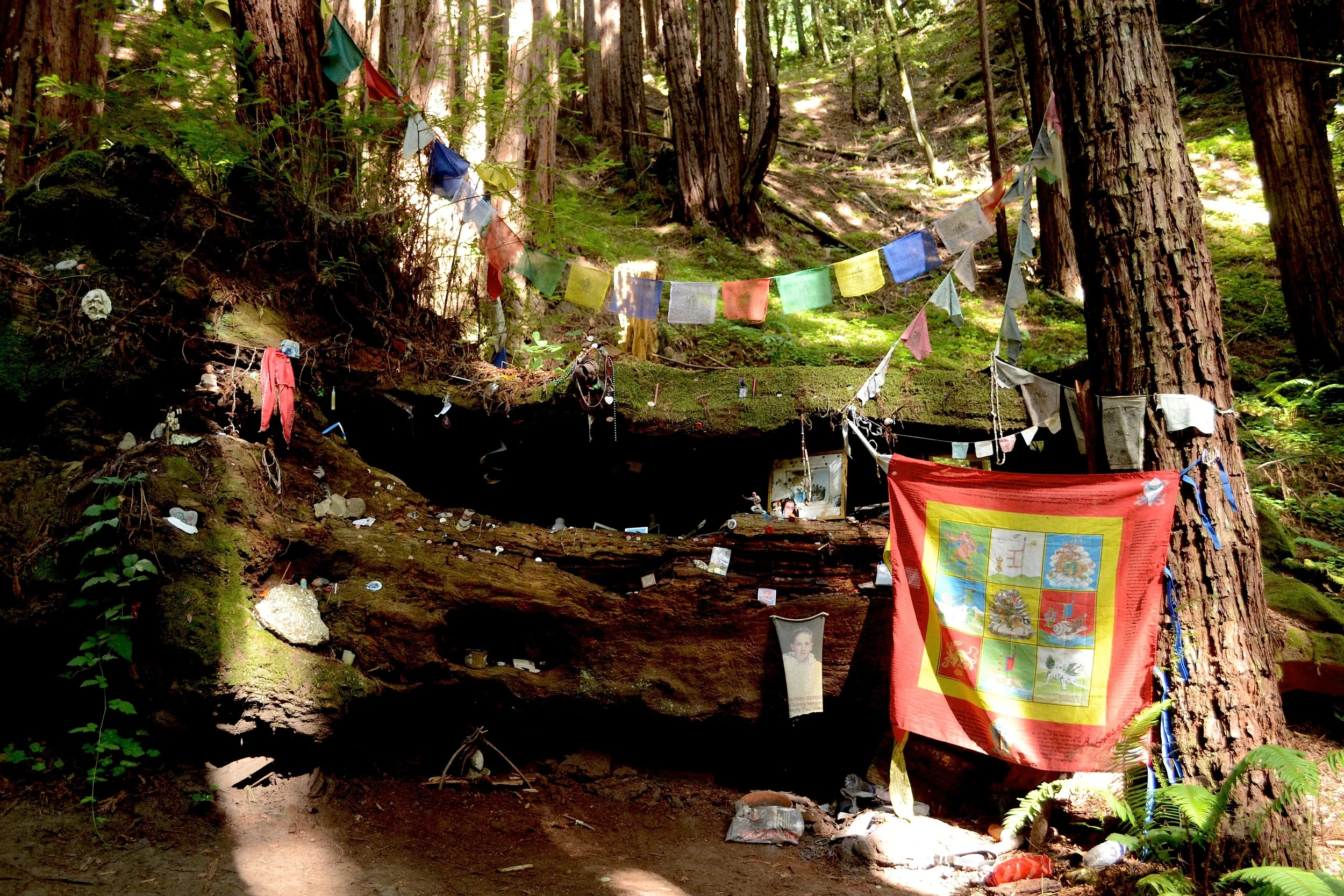 buddhas