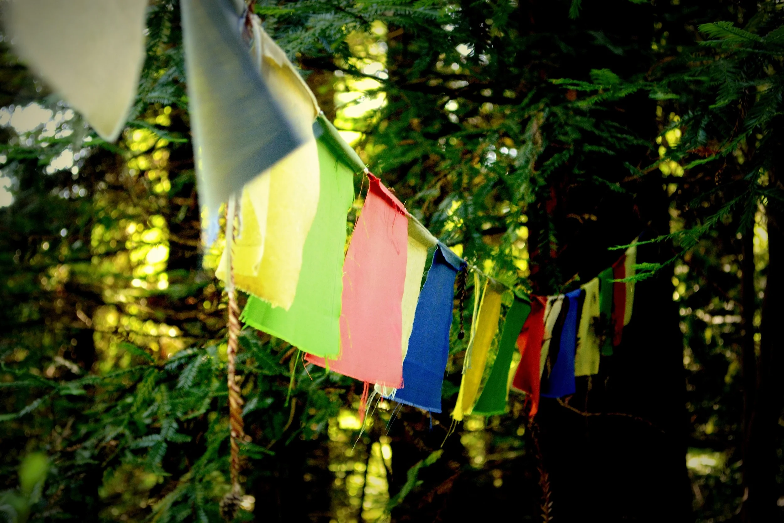 land of the medicine buddha