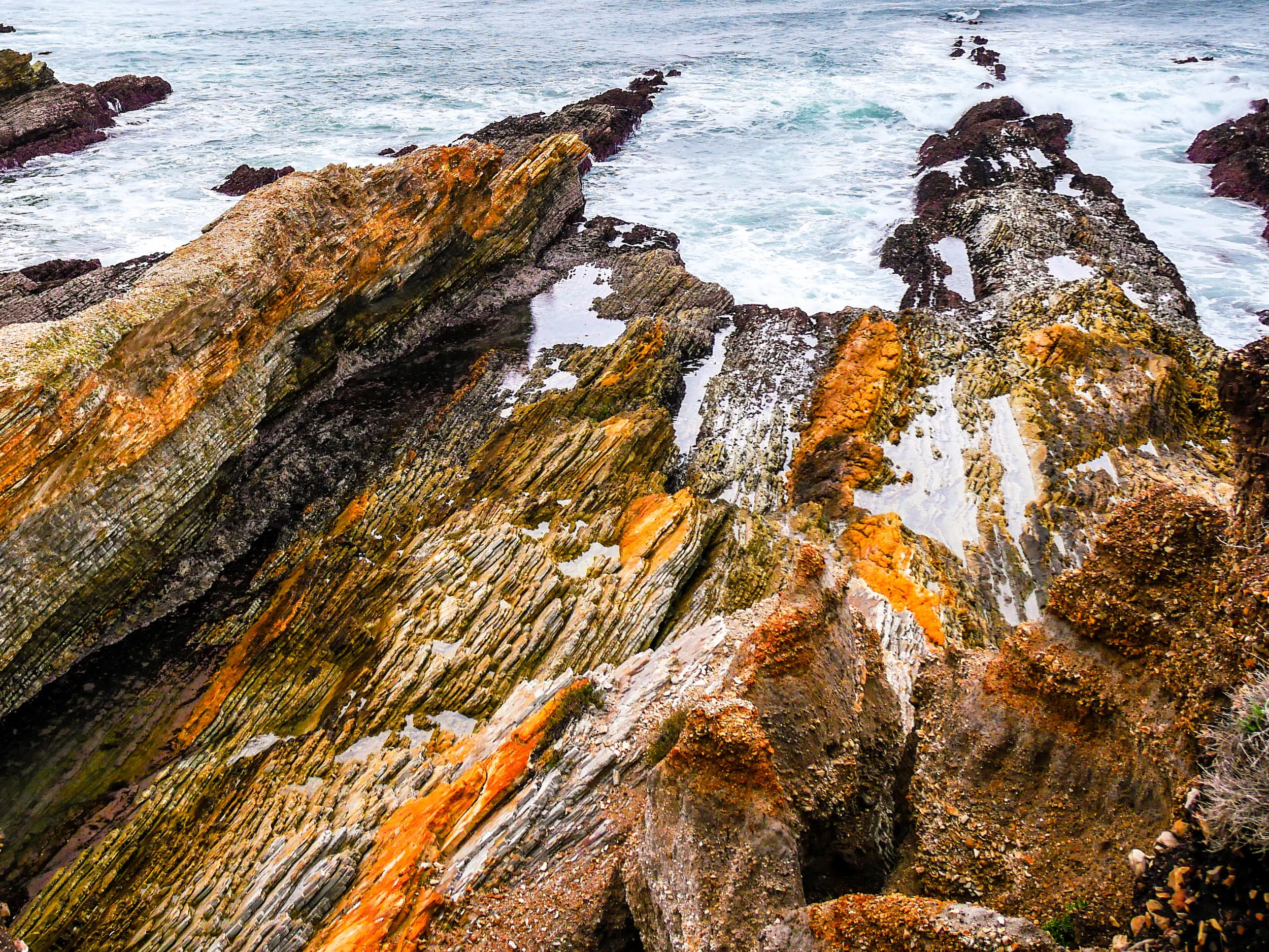 The coastline on the Bluffs Trail at Montana de Oro State Park. 