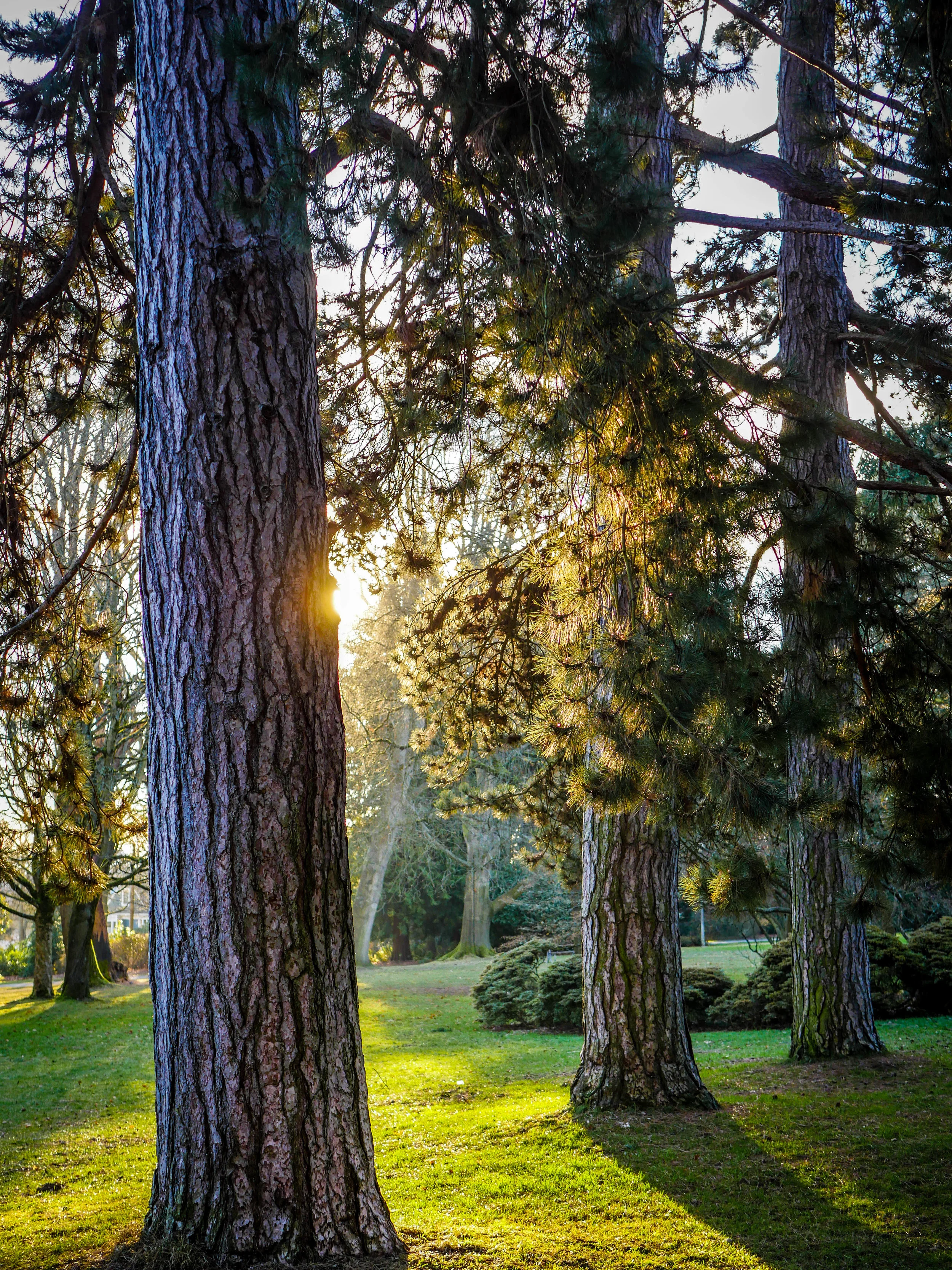 Volunteer Park on Capitol Hill