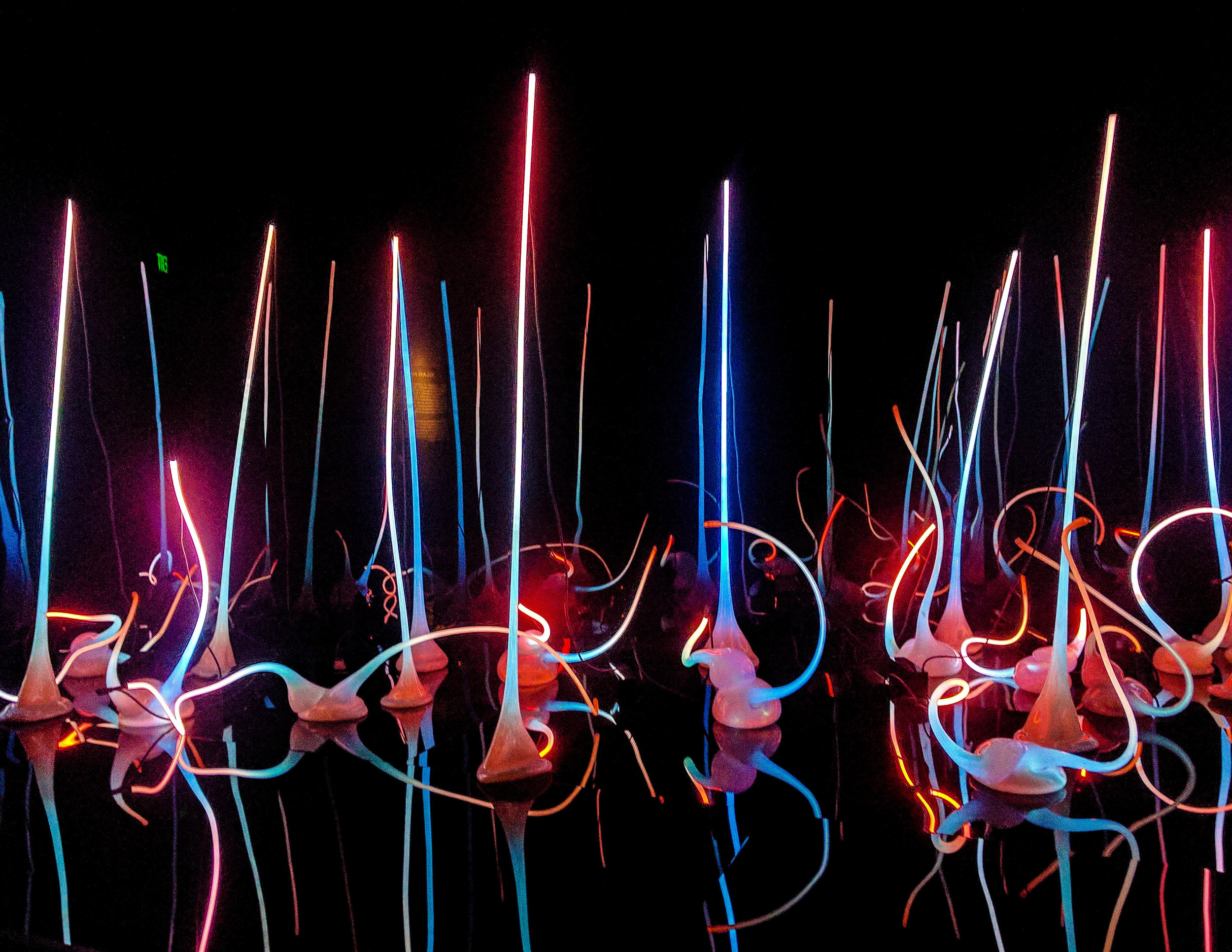 The first exhibit at the Chihuly