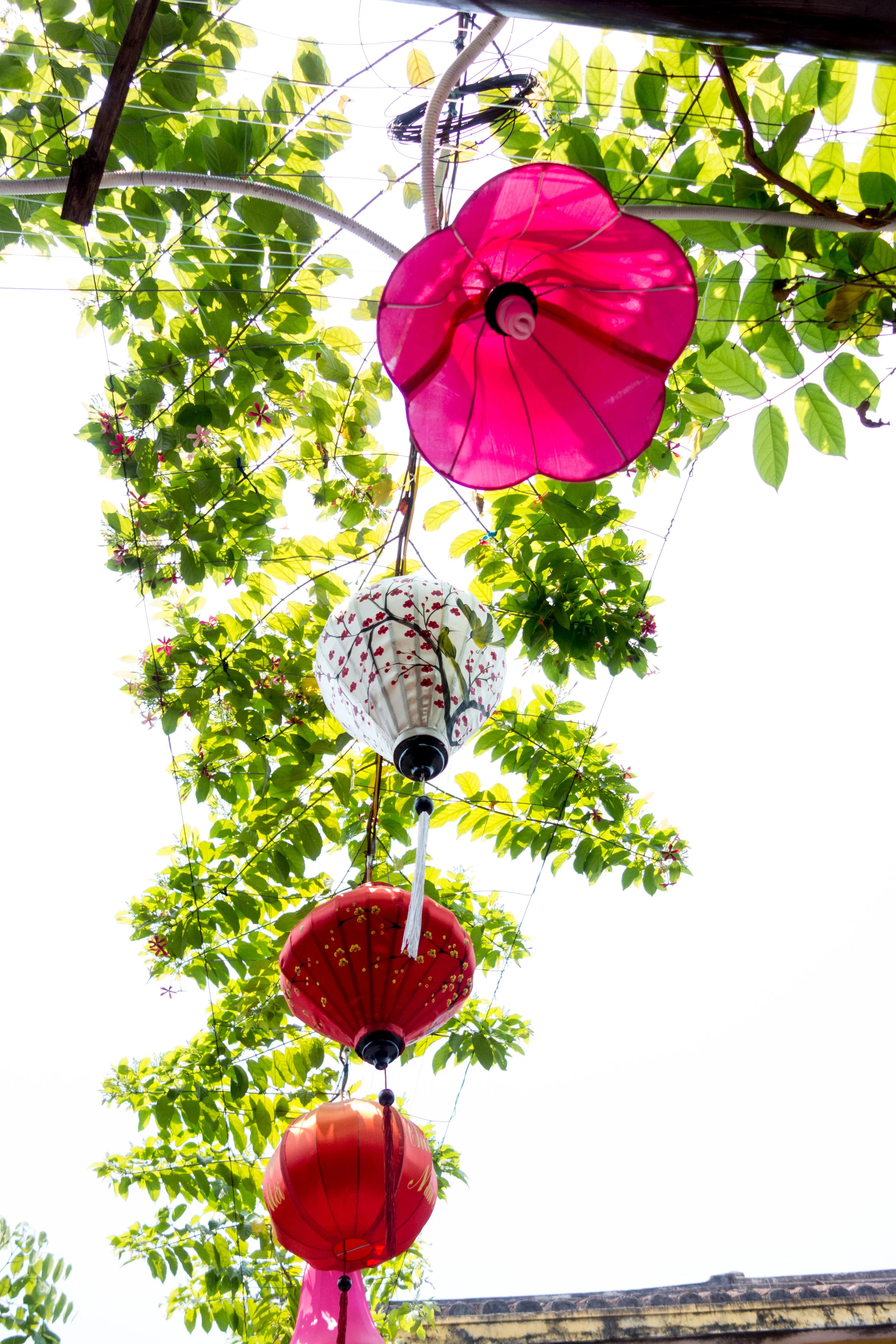 Lanterns in Hoi An, Vietnam